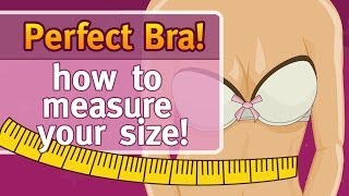 Perfect bra How to find out your cup size bra size band size bust size [upl. by Deacon]