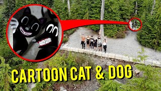 DRONE CATCHES CARTOON CAT AND CARTOON DOG IN THE MOUNTAINS WE FOUND THEM [upl. by Pattison297]