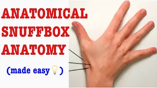 ANATOMICAL SNUFFBOX EASY WAY TO REMEMBER IT DampN Medical Series [upl. by Idolah]