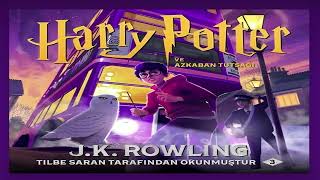 harry potter ve azkaban tutsagı 7bölüm gardropdaki böcürt sesli kitap [upl. by Ennovart]