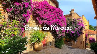 4K🇫🇷 BormeslesMimosas  A flower village that won the Entente Florare Gold Medal🥇🌺 2023 [upl. by Kirimia]