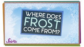 Where Does Frost Come From  Winter Science  SciShow Kids [upl. by Aerdnaed]