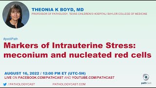 Meconium and nucleated red blood cells markers of intrauterine stress [upl. by Eimerej]