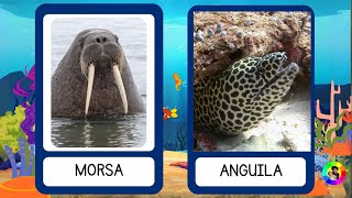 Los animales marinos más increíbles del mundo  Aprende con Gael y Owen [upl. by Fabrice]