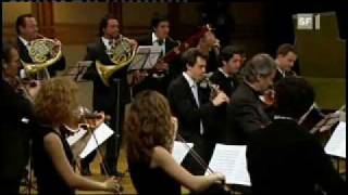 Bach Brandenburg Concerto 1 1movement [upl. by Naima332]