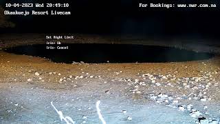 Okaukuejo Resort Wildlife Waterhole Live camera stream in the Etosha National Park in Namibia [upl. by Rahas]