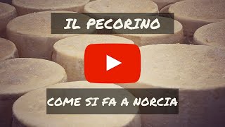 Come si fa il formaggio pecorino a Norcia [upl. by Elisee218]