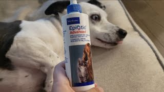 Reviewing EpiOtic Advanced Ear Cleanser for Dogs and Cats [upl. by Demetre]