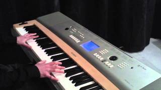 Ludovico Einaudi  Fly Piano Cover from Intouchables [upl. by Oinigih963]