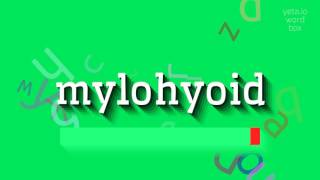 How to say quotmylohyoidquot High Quality Voices [upl. by Adelia441]