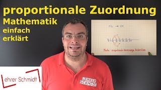 Proportionale Zuordnung  Mathematik  Lehrerschmidt  einfach erklärt [upl. by Etnovad]