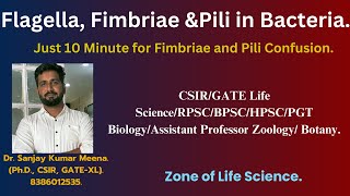 Flagella Fimbriae amp Pili in Bacteria CSIRGATE Life Science PGT Biology amp ZoologyBotany [upl. by Levitan]