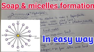 Soap and micelles formation in easy way with brief [upl. by Brader615]