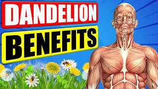 DANDELION BENEFITS  12 Impressive Health Benefits of Dandelion [upl. by Oberon]