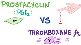 Prostacyclin PGI2 vs Thromboxane A2 TXA2  Bleeding vs Coagulation  Hematology [upl. by Ecinahs]