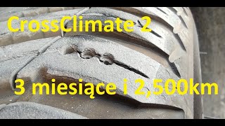 Michelin CrossClimate 2 po 3 miesiącach użytkowania  Renault Laguna [upl. by Ihcas]