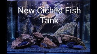 New Cichlid Fish Tank Setup [upl. by Nofets]