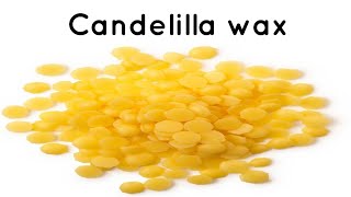 Candelilla wax [upl. by Anayad]