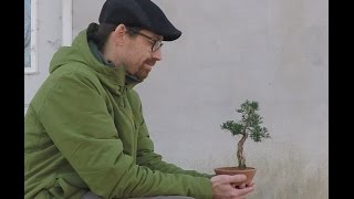 How to Winterize Your Bonsai 2016 [upl. by Toiboid]