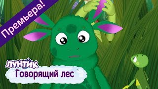 Говорящий лес 🌿 Лунтик 🌲 Новая серия  491  Премьера [upl. by Ethel60]