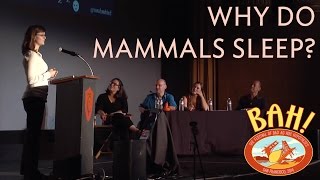 BAHFest West 2014  Sarah Hird Why do Mammals Sleep [upl. by Stefan789]