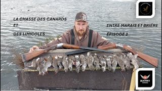 LA CHASSE DES CANARDS ET DES LIMICOLES ENTRE MARAIS ET BRIÉRE PARTIE 2 [upl. by Llerrud]