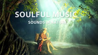 Music of nature Sounds of nature Soulful music [upl. by Rhett967]