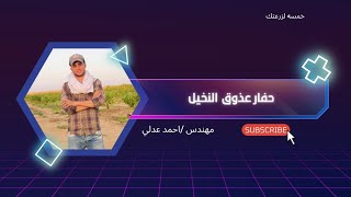 حفار عذوق النخيلآفات النخيل خمسةلزرعتك [upl. by Mallin]