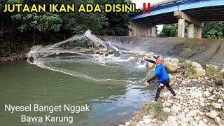 Mancing Dibawah Jembatan Ini Ikanya Rakusrakus Bos [upl. by Tawsha]