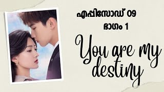 You are my destiny malayalam explanation  ep 9 [upl. by Alegnad]