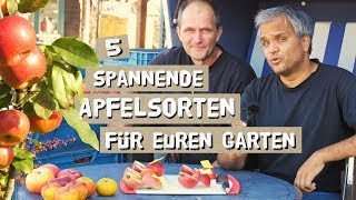 5 spannende und alte Apfelsorten für eure Gärten Probiert und Vorgestellt [upl. by Negriv549]