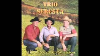 TEU ANIVERSÁRIO  TRIO SERESTA Zé Machado Adenilton amp Marcel [upl. by Nwahsuq]