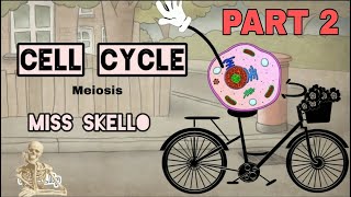 Meiosis Part 2  Meiosis 1 and 2  Significance of Meiosis [upl. by Ttezzil]