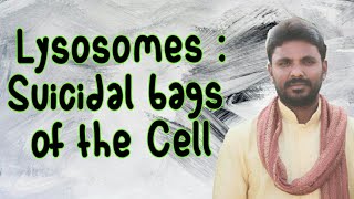 LYSOSOMES  SUICIDAL BAGS OF THE CELL [upl. by Marsha218]