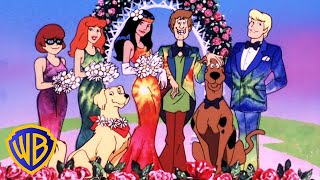 ScoobyDoo Movies en Latino  Ita Groovy 🌼  WBKidsLatino [upl. by Tahp]