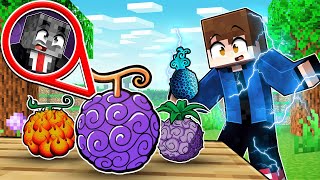 NOVO ESCONDEESCONDE DE ONE PIECE COM DISFARCE DE FRUTAS COM 2 VISÕES NO MINECRAFT [upl. by Ahseena]