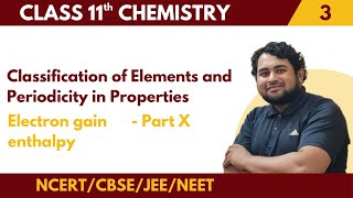 1015 Classification of Element amp Periodicity in Properties  Class 11  Chemistry Ch 3 With Notes [upl. by Etac]