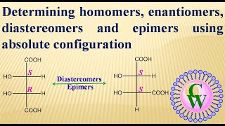 Determining homomers enantiomers diastereomers and epimers using absolute configuration [upl. by Tezile379]