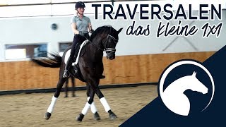 Reitest Du Deine Traversale richtig 🐴 Preview🎥  ClipMyHorseTV Academy 🎓 [upl. by Annoel]