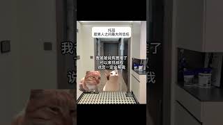 托孤——男人之间最大的信任 托孤 猫meme 猫meme日常 兄弟 猫meme 搞笑 喵不可言 猫 cat animals 萌宠 funny cute [upl. by Goldsmith567]