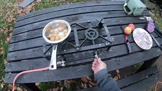 Foraging mushrooms and apples for evening meal at the wood [upl. by Ugo]