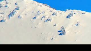 Wasatch Mountain Bigfoot Filmed then Tracked by Helicopter [upl. by Grishilde814]