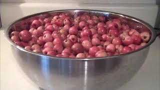 Canning Crabapple Butter Jelly and Crabapplesauce [upl. by Luo]