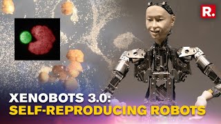 Scientists Create Worlds Firstever Living Robots Xenobot 30 That Can Selfreplicate [upl. by Atsahc]