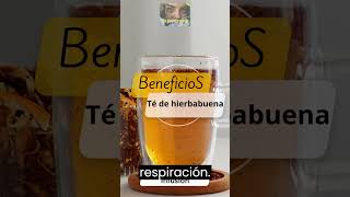 infusión Té de hierbabuena [upl. by Nitsreik25]