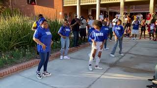 University of Arizona UA Homecoming Stroll Off 20232024 Zeta Phi Beta Round 2 [upl. by Yelha]