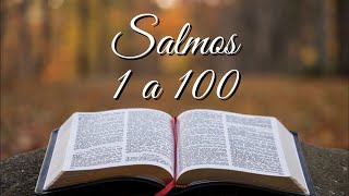 BÍBLIA SALMOS 1 A 100 [upl. by Artimed]