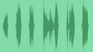 Cat Hissing Sound Effects [upl. by Farris]