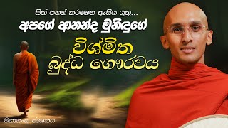 317 ආනන්ද මුනිඳුන්ගේ විශ්මිත බුද්ධ ගෞරවය  මහාහංස ජාතකය  20240413 [upl. by Garner940]