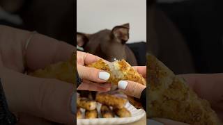 Nems au poulet 🤤 food dogfooding cooking dogfood puppy doglove pets asmr animalfood [upl. by Corvese941]